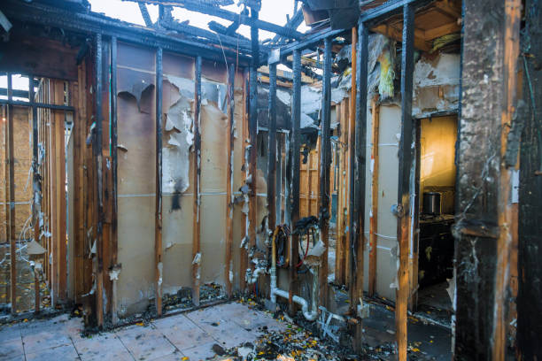 Professional Smoke Damage Removal technician working in Spring Valley, WI